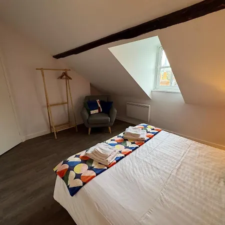 Les Lys D'or Vue Chateau Hyper Centre Climatise Apartment *