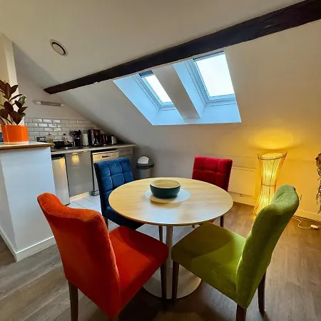 Les Lys D'or Vue Château Hyper Centre Climatisé Apartamento Saumur