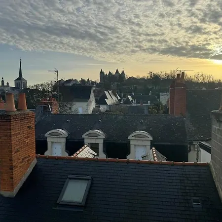 Les Lys D'or Vue Chateau Hyper Centre Climatise * 쏘뮤흐