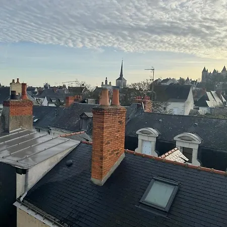 Les Lys D'or Vue Chateau Hyper Centre Climatise *