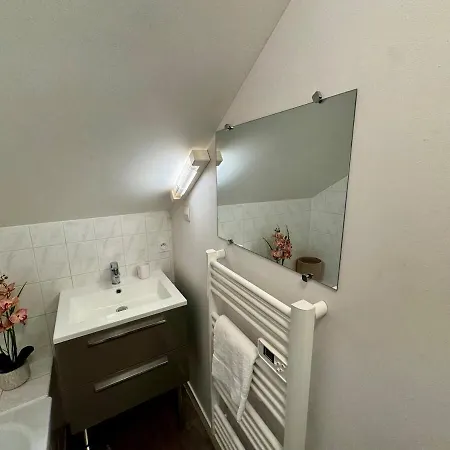 Les Lys D'or Vue Chateau Hyper Centre Climatise Apartment *