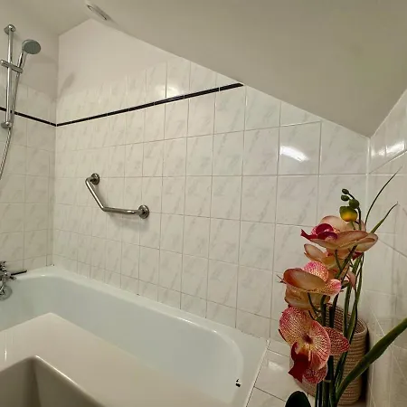 Apartment Les Lys D'or Vue Chateau Hyper Centre Climatise