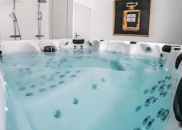 Apartamento Les Lys D'or Vue Château Hyper Centre Climatisé Saumur