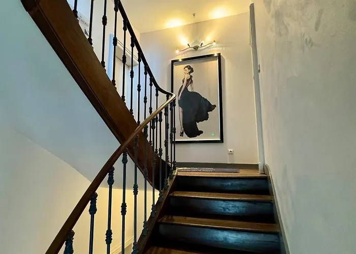 Les Lys D'or Vue Château Hyper Centre Climatisé * Saumur