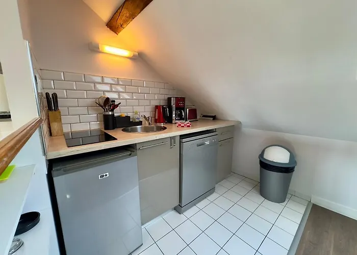 Les Lys D'or Vue Château Hyper Centre Climatisé Saumur