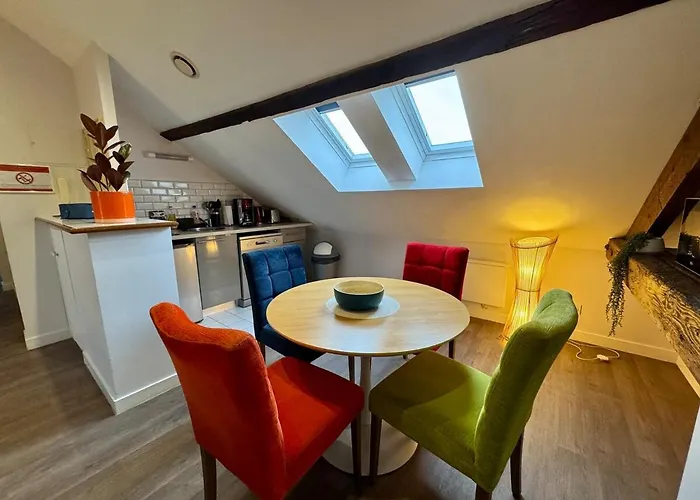 Les Lys D'or Vue Château Hyper Centre Climatisé Apartamento Saumur