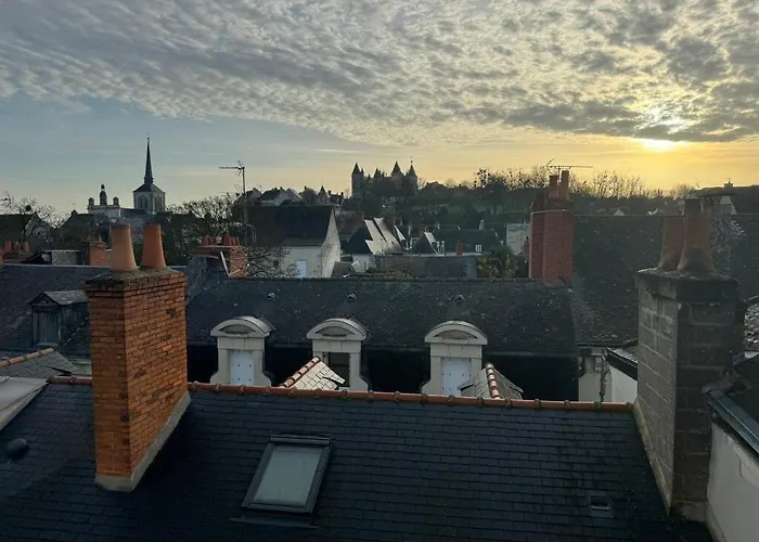 Les Lys D'or Vue Château Hyper Centre Climatisé * Saumur