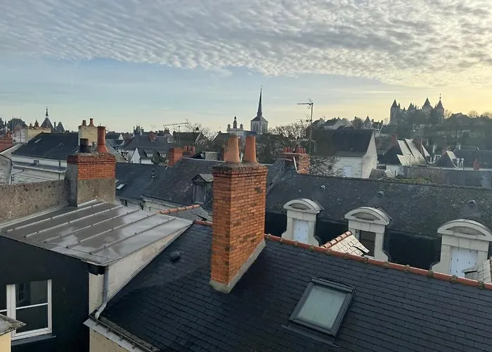 Les Lys D'or Vue Château Hyper Centre Climatisé *