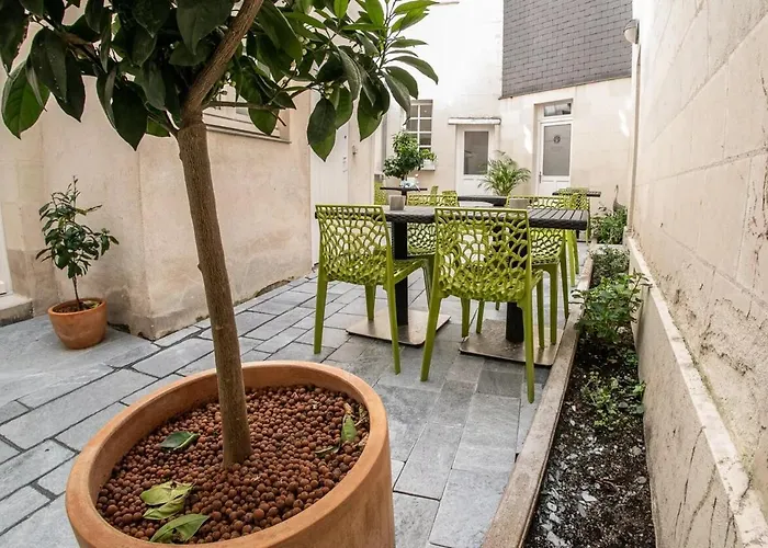 Les Lys D'or Vue Château Hyper Centre Climatisé Apartamento