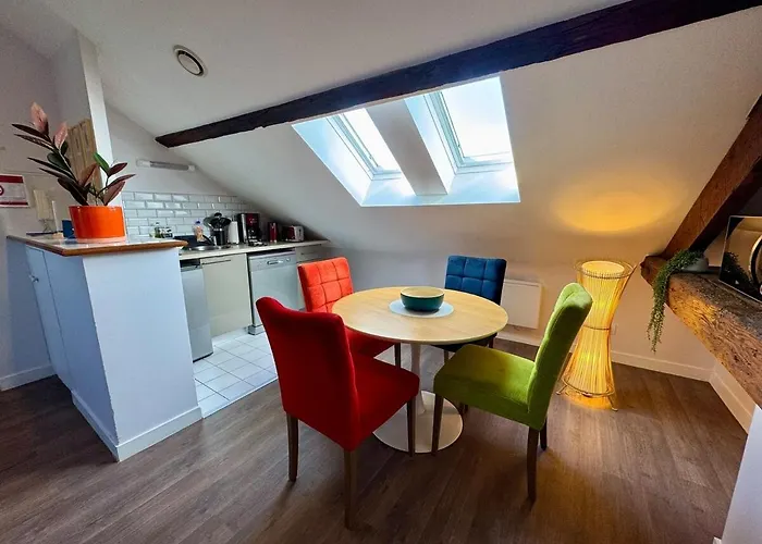 Les Lys D'or Vue Château Hyper Centre Climatisé