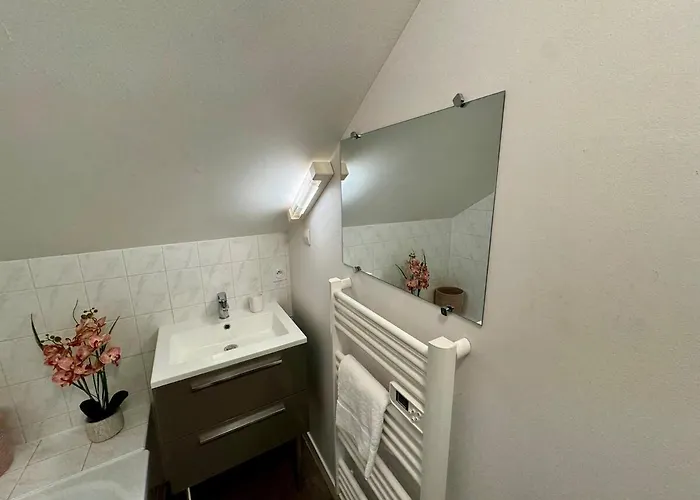 Les Lys D'or Vue Château Hyper Centre Climatisé Apartamento *