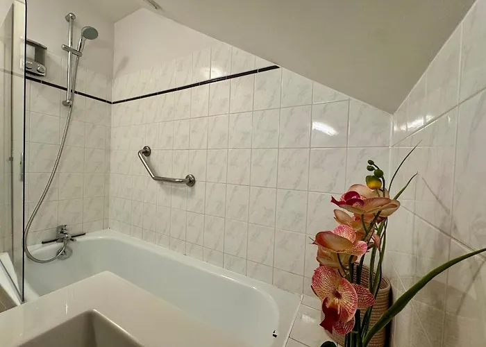 Apartamento Les Lys D'or Vue Château Hyper Centre Climatisé