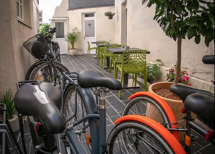 Les Lys D'or Vue Château Hyper Centre Climatisé Apartamento