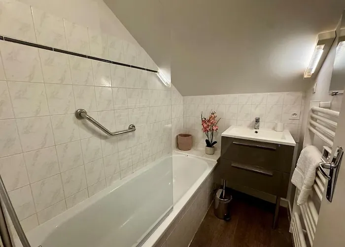 Apartamento Les Lys D'or Vue Château Hyper Centre Climatisé Saumur