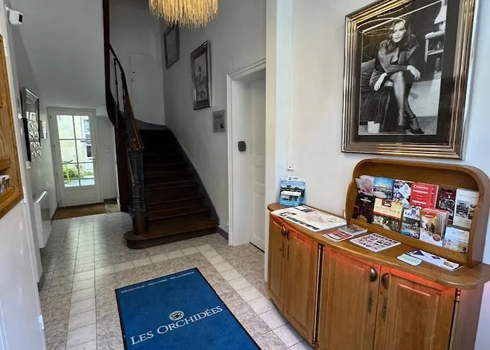 Les Lys D'or Vue Château Hyper Centre Climatisé *